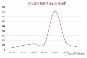 哈尔滨·6月1日花粉实况播报